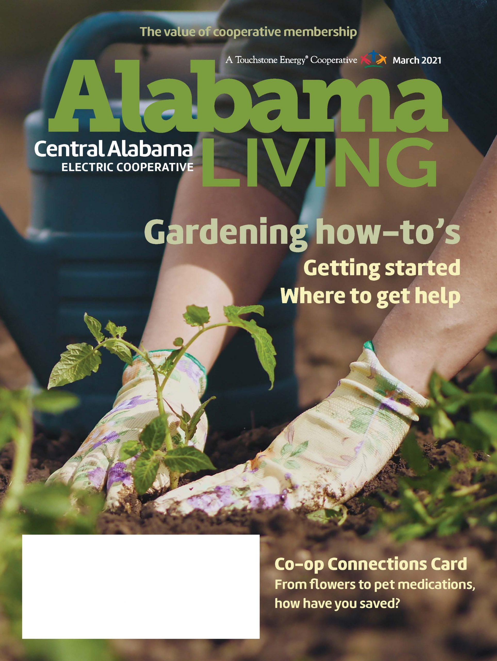 Alabama Living Archive Central Alabama Electric Cooperative Alabama Living Archive Central Alabama Electric Cooperative