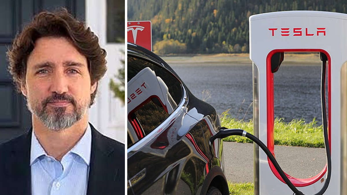 Government Spent 186 Million On Rebates For Electric Cars True North Government Spent 186 Million On Rebates For Electric Cars True North