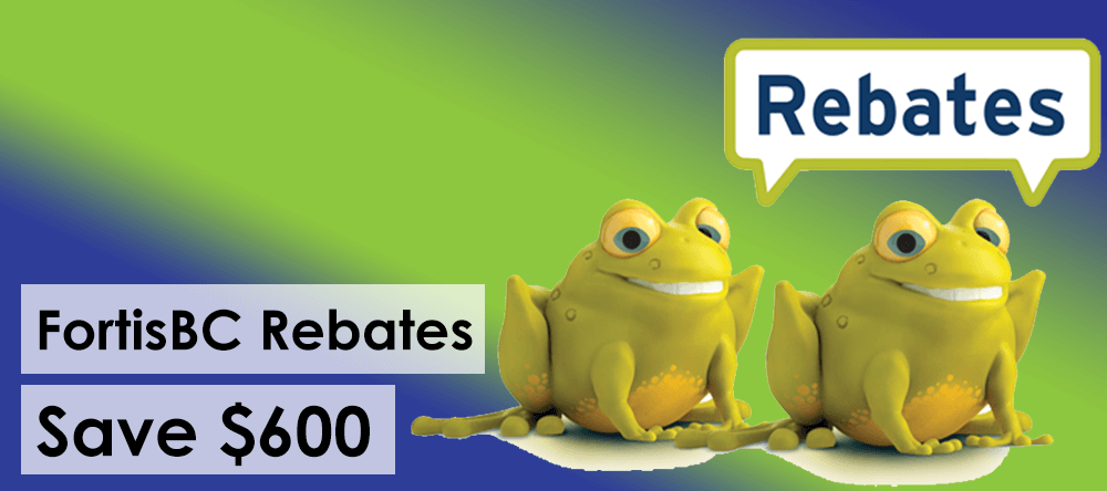 Double Rebates With FortisBC Vancouver Gas Fireplaces Double Rebates With FortisBC Vancouver Gas Fireplaces