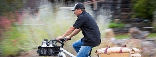 E Bikes Deserve The Same Rebates As Electric Cars CalBike